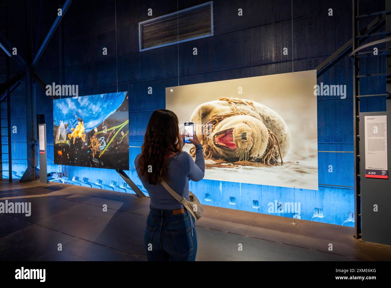 Ausstellung Plante Ozean im Gasometer in Oberhausen stehen die Ozeane der Welt in ihrer fragilen Schönheit im Mittelpunkt der neuen großformatigen Ausstellung Stockfoto
