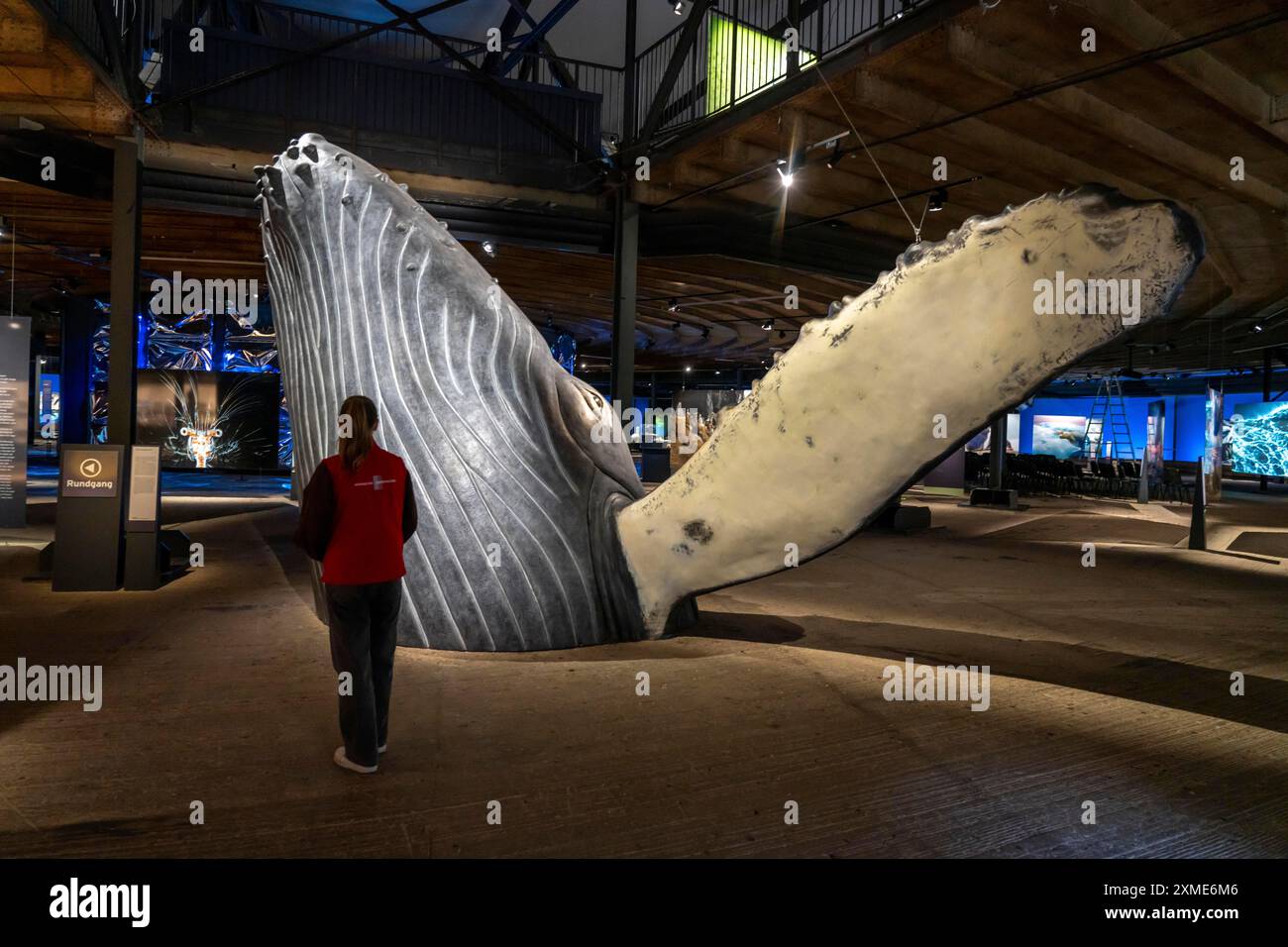 Ausstellung Plante Ozean im Gasometer in Oberhausen stehen die Ozeane der Welt in ihrer fragilen Schönheit im Mittelpunkt der neuen großformatigen Ausstellung Stockfoto