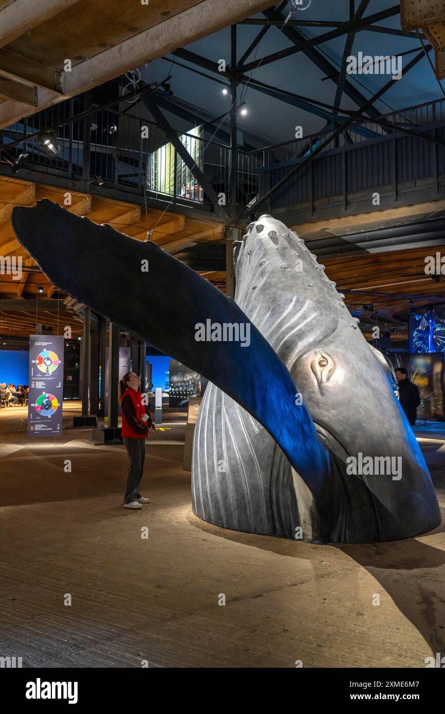 Ausstellung Plante Ozean im Gasometer in Oberhausen stehen die Ozeane der Welt in ihrer fragilen Schönheit im Mittelpunkt der neuen großformatigen Ausstellung Stockfoto