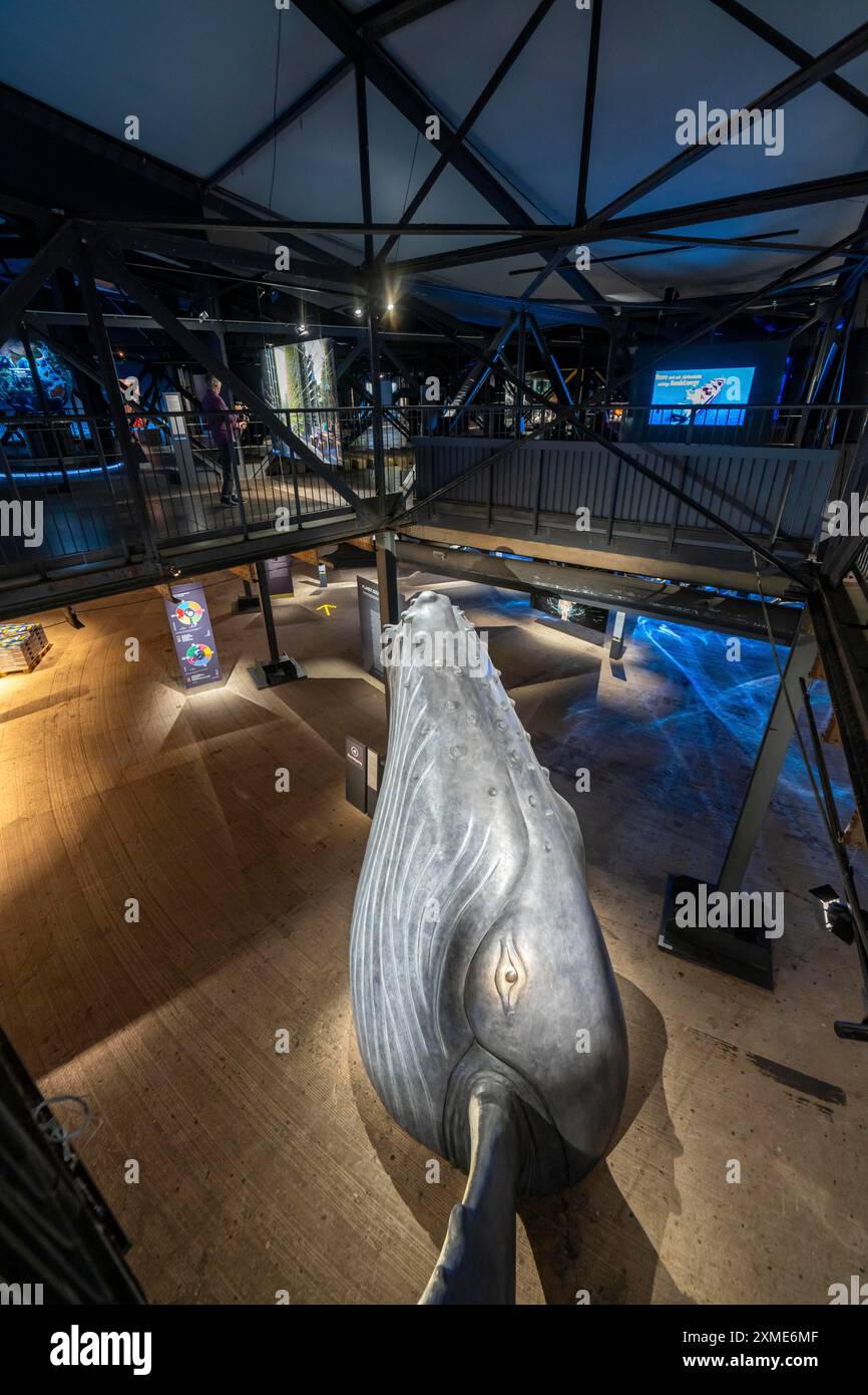 Ausstellung Plante Ozean im Gasometer in Oberhausen stehen die Ozeane der Welt in ihrer fragilen Schönheit im Mittelpunkt der neuen großformatigen Ausstellung Stockfoto