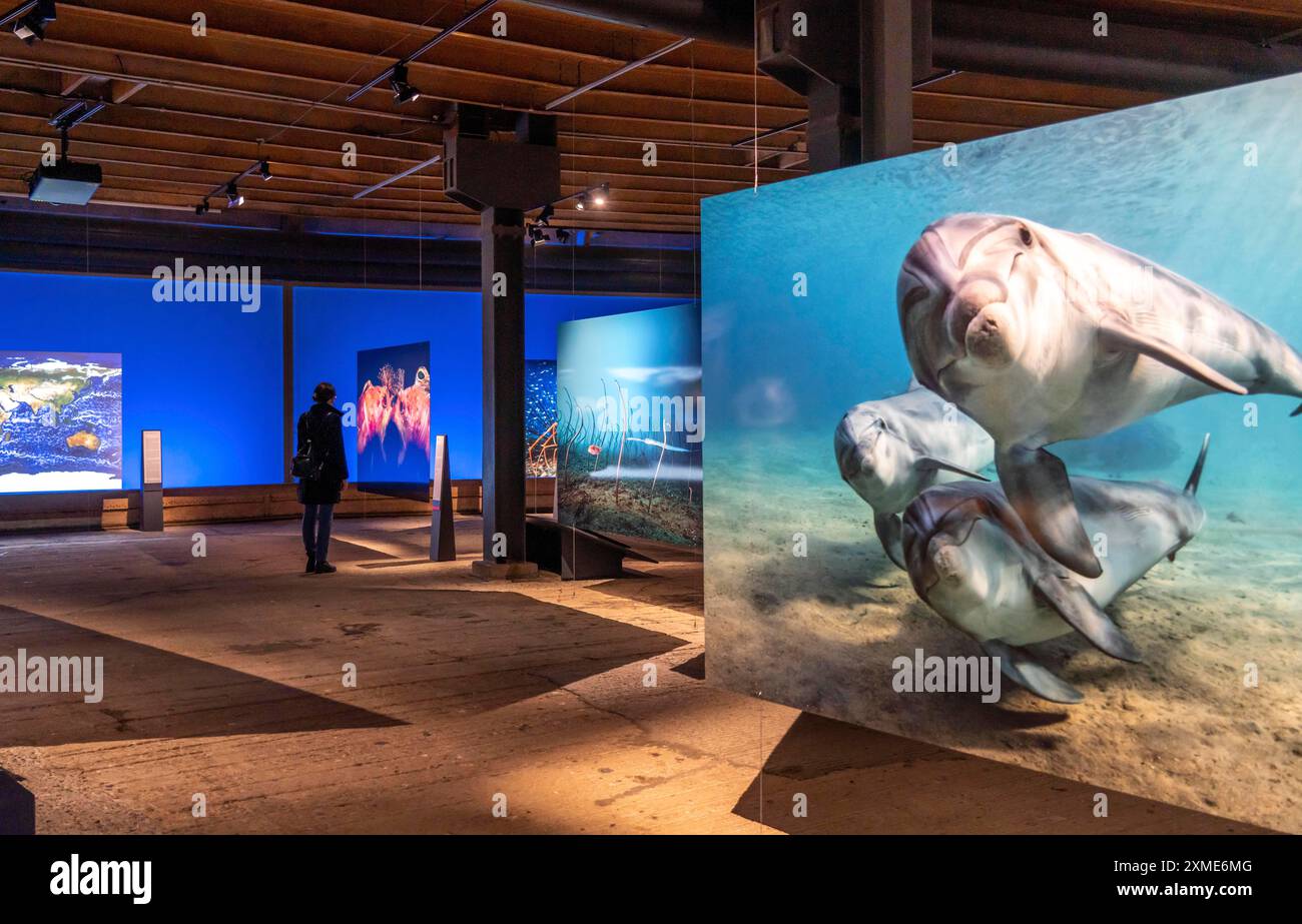 Ausstellung Plante Ozean im Gasometer in Oberhausen stehen die Ozeane der Welt in ihrer fragilen Schönheit im Mittelpunkt der neuen großformatigen Ausstellung Stockfoto