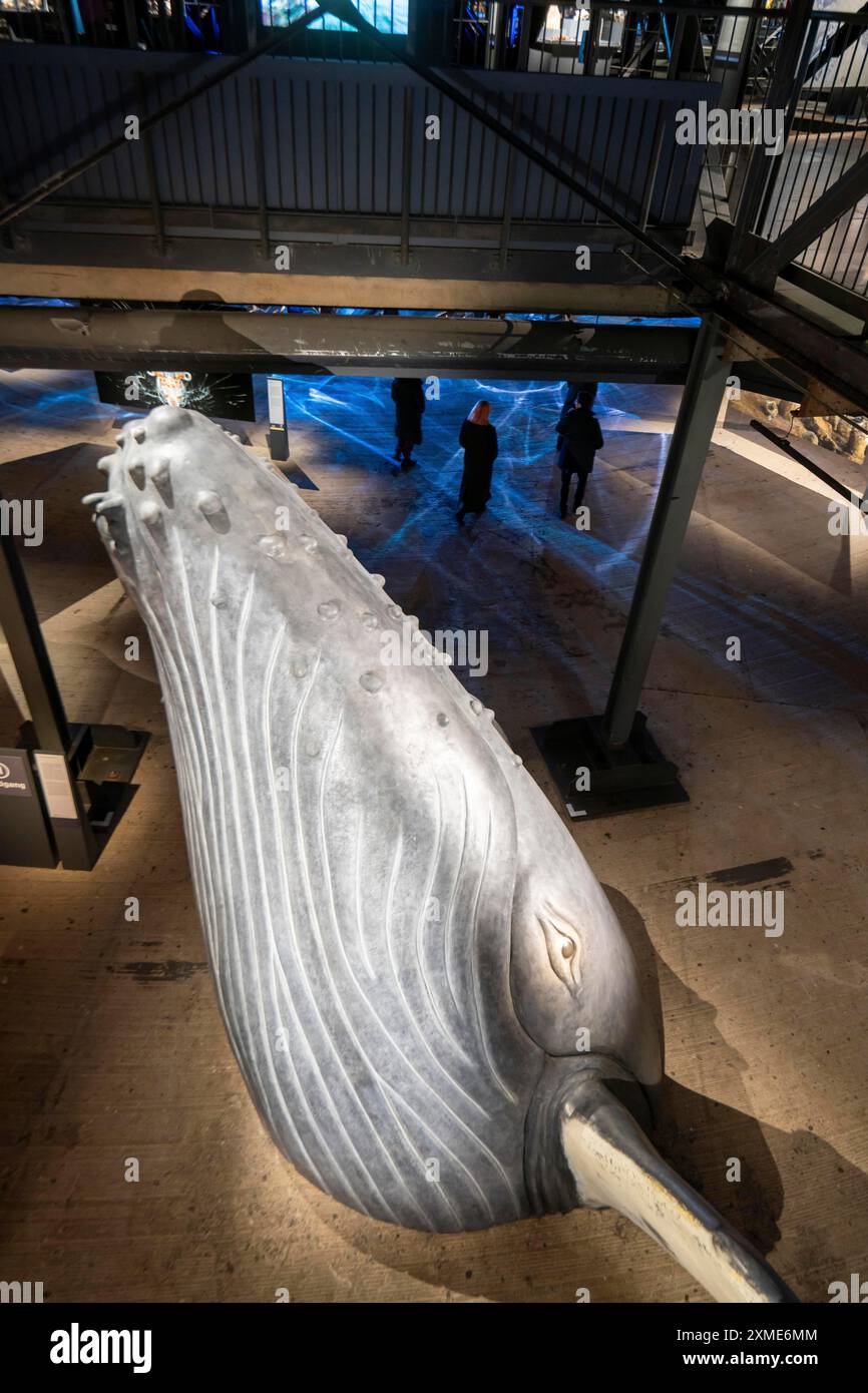 Ausstellung Plante Ozean im Gasometer in Oberhausen stehen die Ozeane der Welt in ihrer fragilen Schönheit im Mittelpunkt der neuen großformatigen Ausstellung Stockfoto