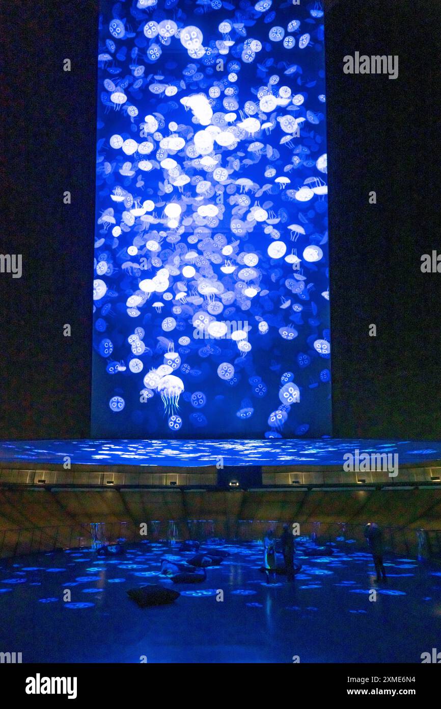 Ausstellung Plante Ozean im Gasometer in Oberhausen stehen die Ozeane der Welt in ihrer fragilen Schönheit im Mittelpunkt der neuen großformatigen Ausstellung Stockfoto