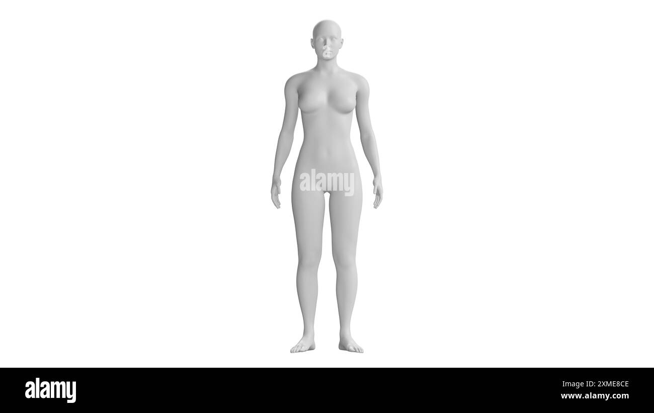 Weiße weibliche Mannequin stehend auf weißem Hintergrund Stockfoto