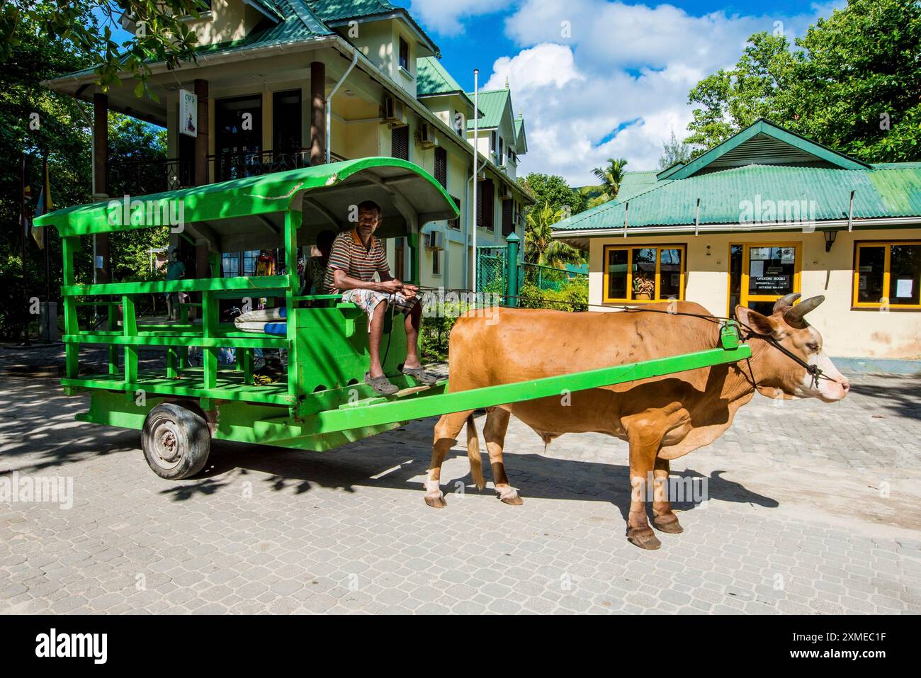 Ochsenwagen in La Passe, La Digue, Republik Seychellen, Indischer Ozean Stockfoto