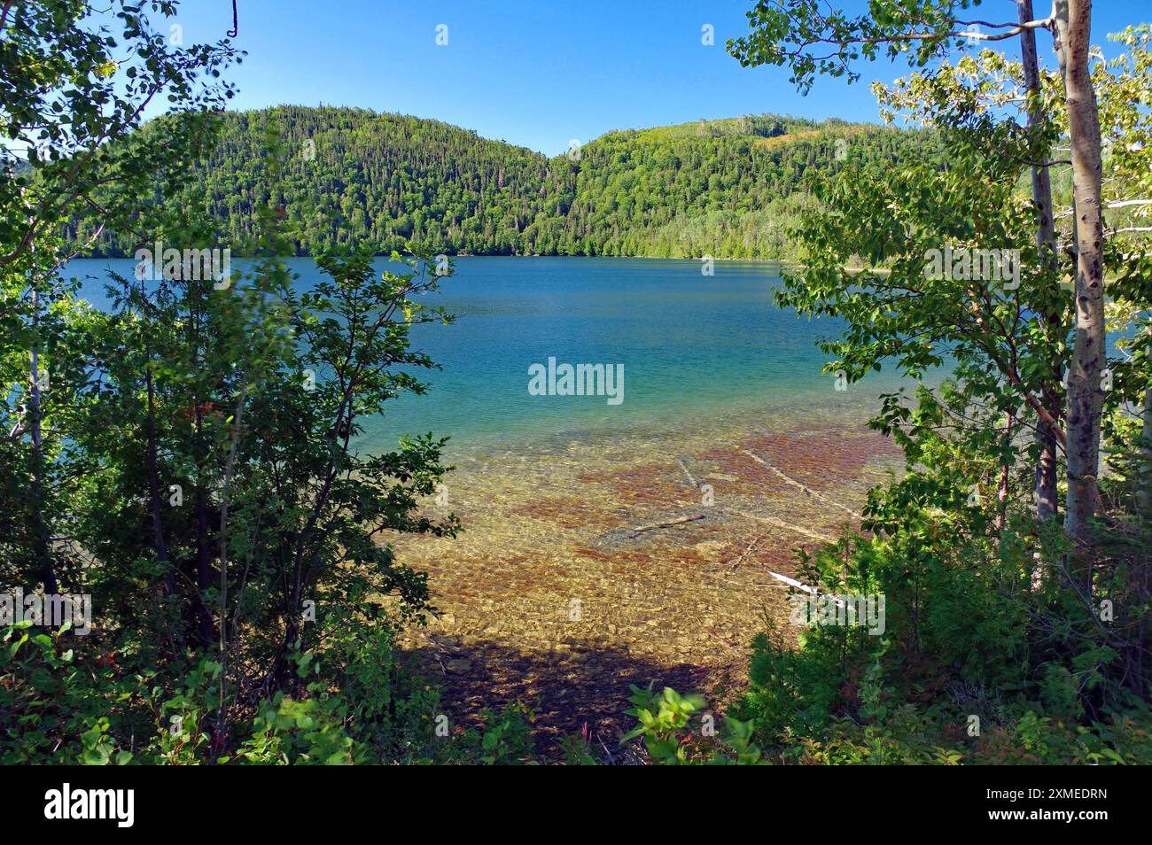 Ein klarer See von einem bewaldeten Ufer, umgeben von grünen Bergen unter blauem Himmel, Gaspesie, Quebec, Kanada Stockfoto