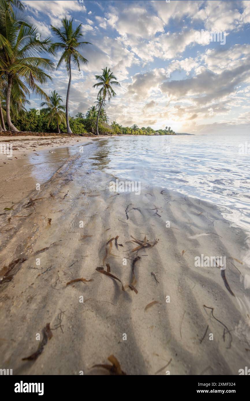 Romantischer Karibischer Sandstrand Mit Palmen, Türkisfarbenem Meer. Vormittagslandschaft Bei Sonnenaufgang In Plage De Bois Jolan, Guadeloupe, Französische Antillen Stockfoto