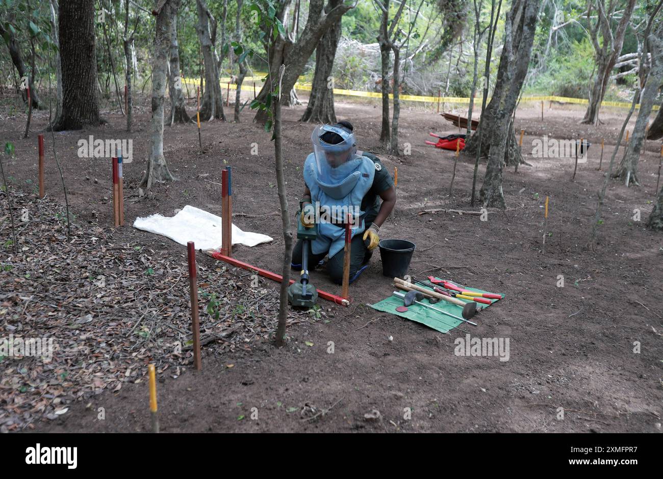 Colombo, Sri Lanka. Juli 2024. Ein Offizier der srilankischen Armee entfernt Landminen, die während des Bürgerkonflikts des Landes in Kilinochchi, Sri Lanka, am 27. Juli 2024 platziert wurden. Anfang dieses Jahres beschloss die Regierung Sri Lankas, die Amtszeit des National Mine Action Center auf 2027 zu verlängern, um ein Land ohne Landminen zu erreichen. Quelle: Ajith Perera/Xinhua/Alamy Live News Stockfoto