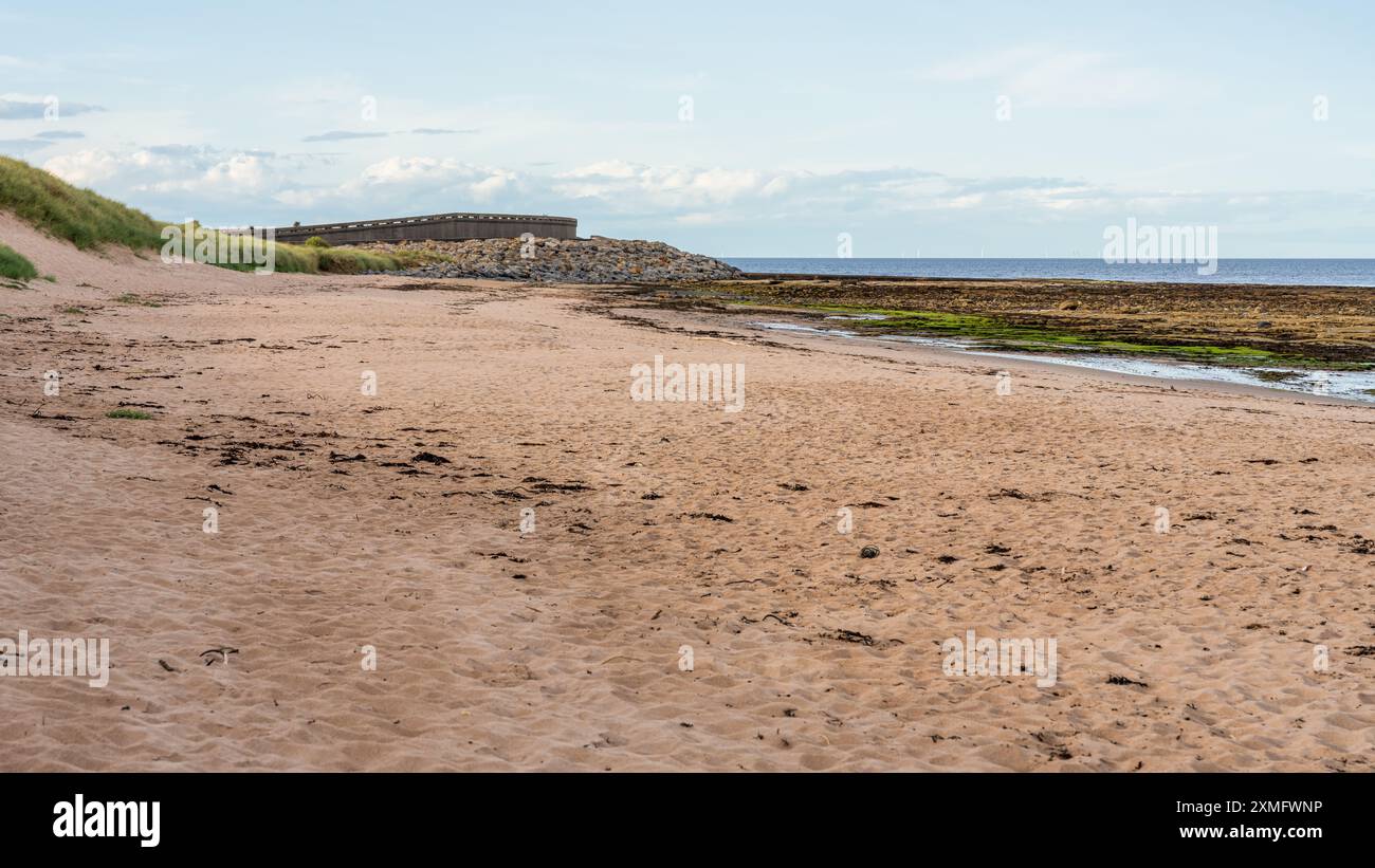 Der Strand und die Nordseeküste in Thorntonloch, Schottland, Großbritannien Stockfoto