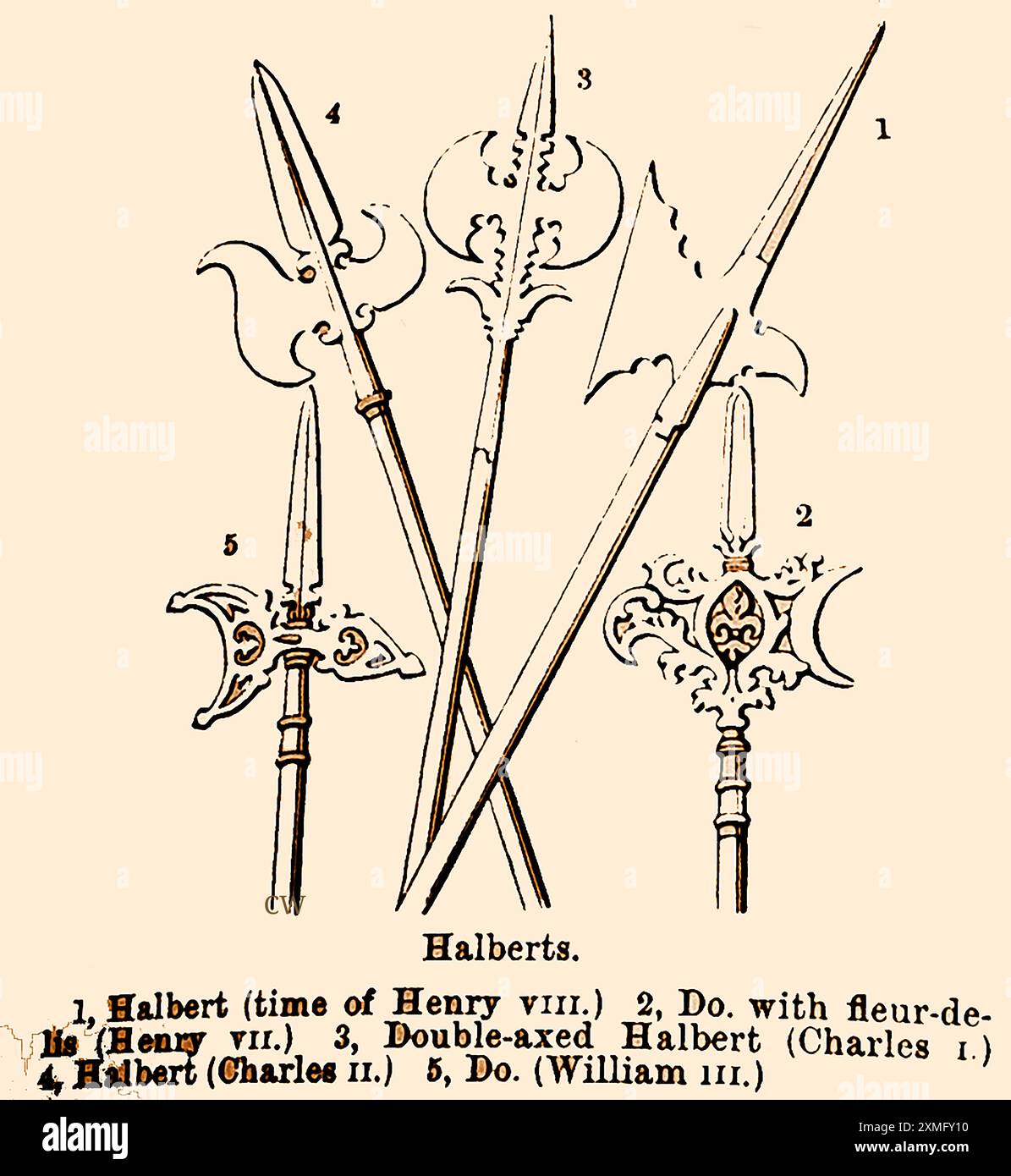 Eine Illustration aus dem 19. Jahrhundert, die den Wandel im Design britischer Hellebarden im Laufe der Zeit zeigt. Auch halbard, Halbert oder Schweizer Voulge genannt, besteht sie aus einer Axtklinge mit einem Dorn, der auf einem Schaft montiert ist, oft mit einem Haken, um den Feind von seinen Pferden zu ziehen. Stockfoto