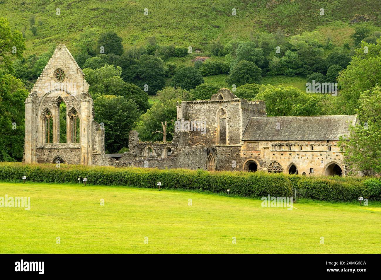 Valle Crucis Abbey, in der Nähe von Llangollen, Denbighshire, Wales Stockfoto