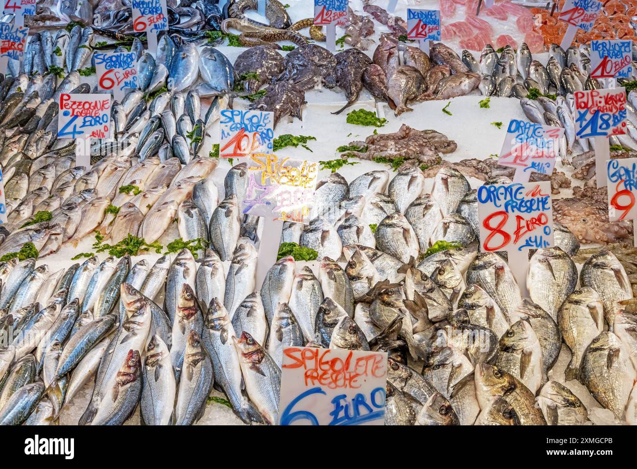 Große Auswahl an Fisch und Meeresfrüchten, die man auf einem Markt in Neapel, Italien, sehen kann Stockfoto