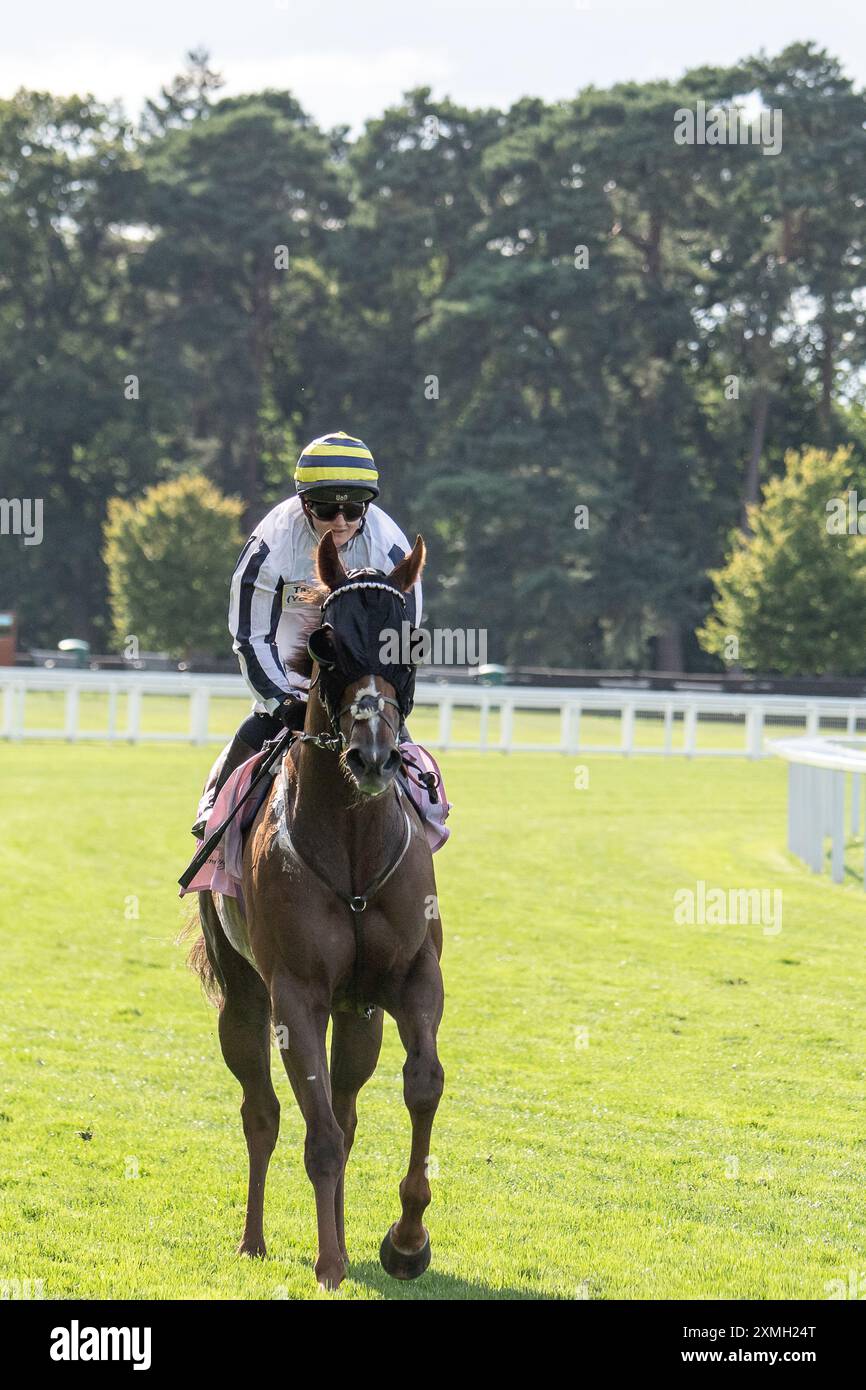 Ascot, Berkshire, Großbritannien. Juli 2024. Horse Albasheer, geritten von Jockey Hollie Doyle, gewinnt die Whispering Angel Handicap Stakes beim QIPCO King George Day auf der Ascot Racecourse in Berkshire. Eigentümer Taylors' Bloodstock Ltd, Trainer Archie Watson, Upper Lambourn, Breeder Shadwell Estate Company Ltd, Sponsor Taylor Group (Yorkshire) Ltd Quelle: Maureen McLean/Alamy Live News Stockfoto