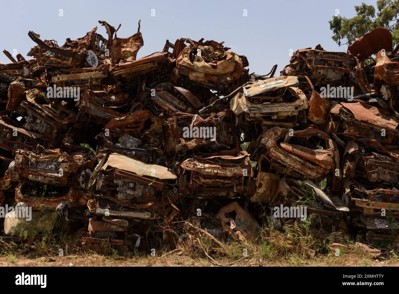 Auf dem Tekumah-Autofriedhof im Süden Israels, wo die Behörden Hunderte zerstörter Fahrzeuge sammelten und säuberten. Stockfoto