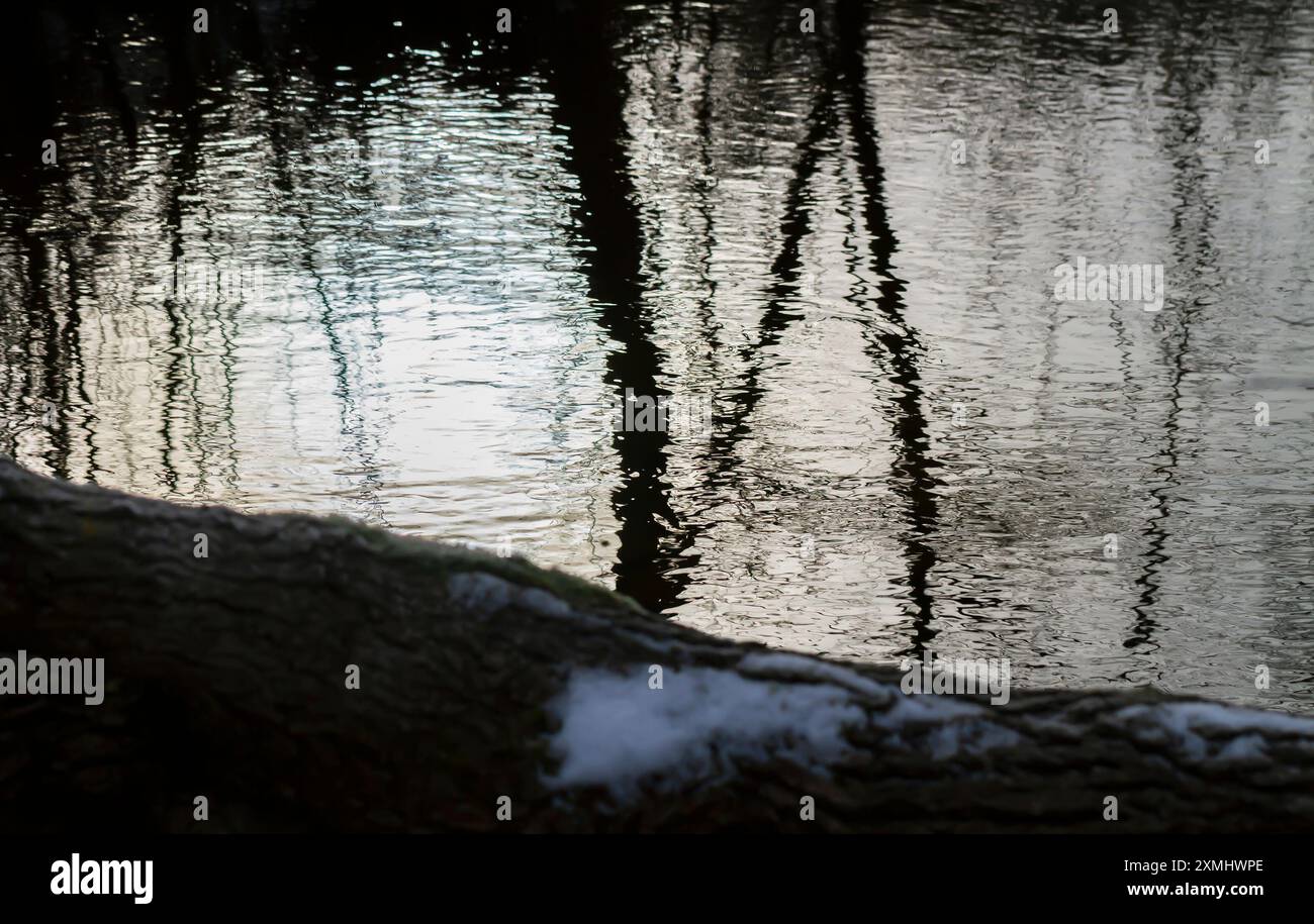 Blick auf ruhiges Wasser mit Spiegelung von Bäumen und einem großen liegenden Stamm mit einem Stück Schnee darauf. Stockfoto