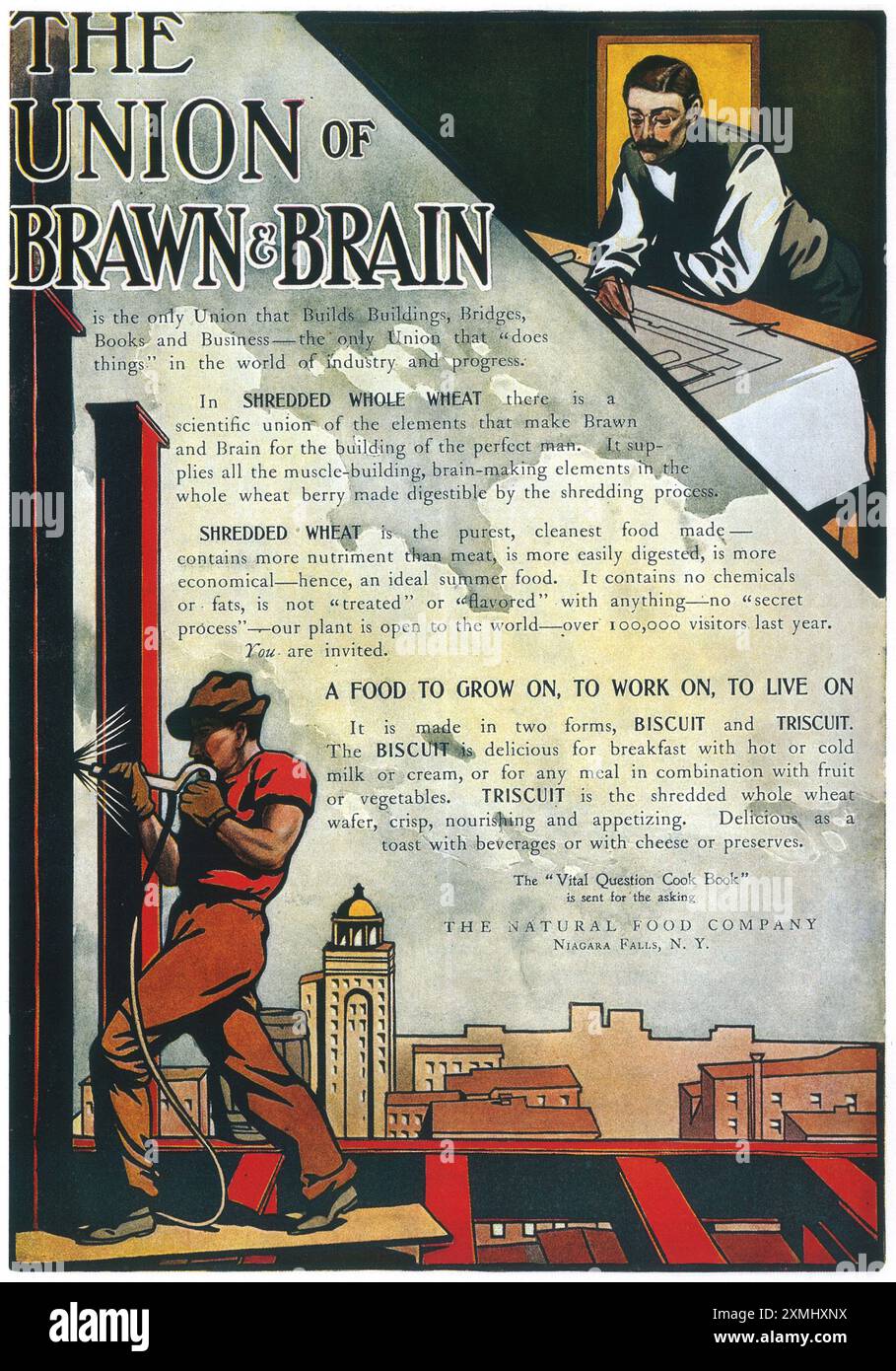 1906 Werbung für natürliche Lebensmittel - "die Union von Brawn and Brain" Stockfoto