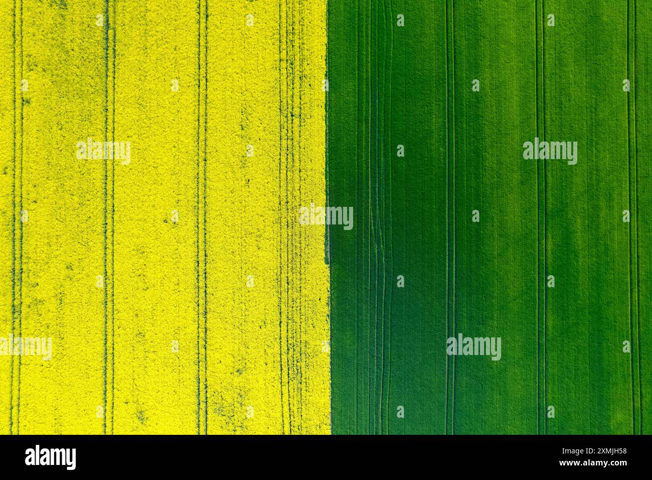 Aus der Vogelperspektive hellgrüne und gelbe Ackerfelder. Stockfoto