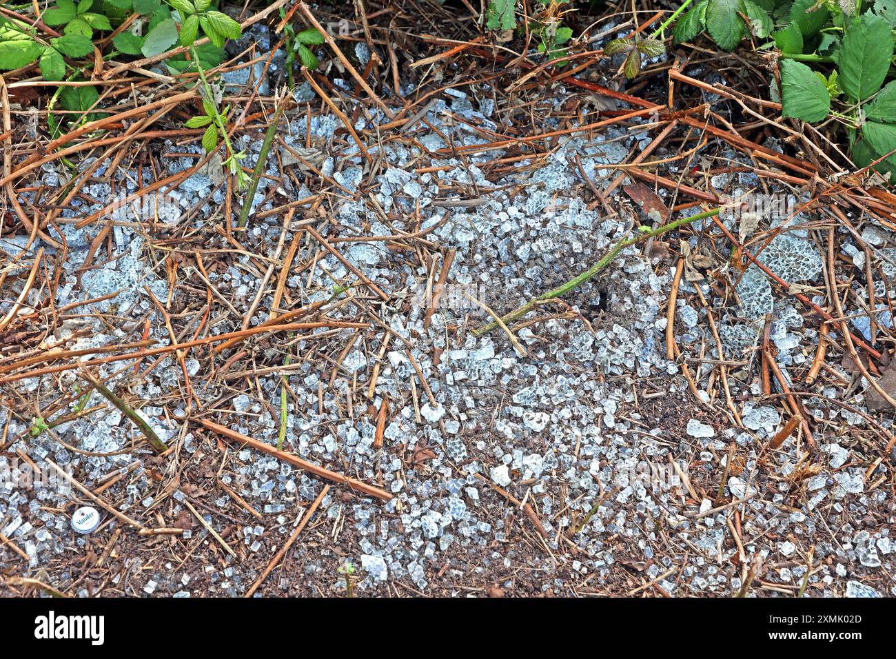 Teure Folgen durch Vandalismus massive Zerstörungswut führte zu Glasbruch an Bahnhofseinrichtungen *** teure Folgen von Vandalismus massiver Vandalismus führte zu Glasbruch an Bahnhofseinrichtungen Stockfoto