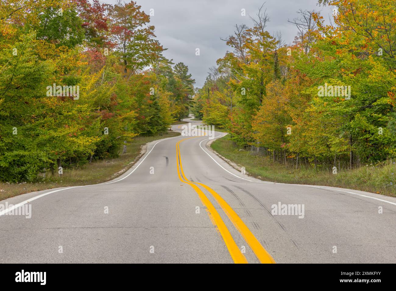 Kurvige Straße, Highway 42, im Herbst, Northport, Door County, Wisconsin Stockfoto