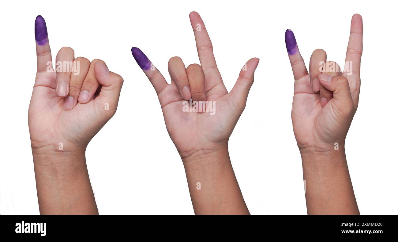 Eine Handgruppe mit einem kleinen Finger, der in violette Tinte getaucht ist, nachdem er für die Wahl in Indonesien oder Pemilu mit verschiedenen Posen gestimmt hatte, isoliert über weißem Hintergrund Stockfoto