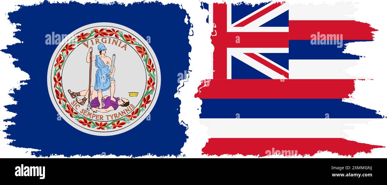 Hawaii und Virginia staaten Grunge Pinsel Flags Verbindung, Vektor Stock Vektor