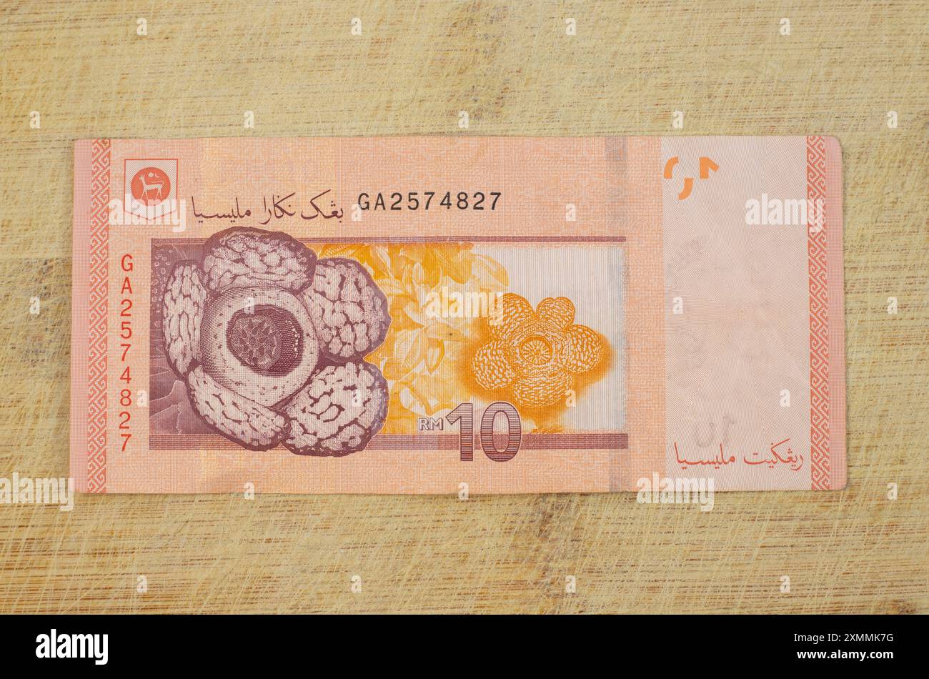Die RM10-Banknote zeigt rafflesia-parasitäre Blütepflanzen auf der ...
