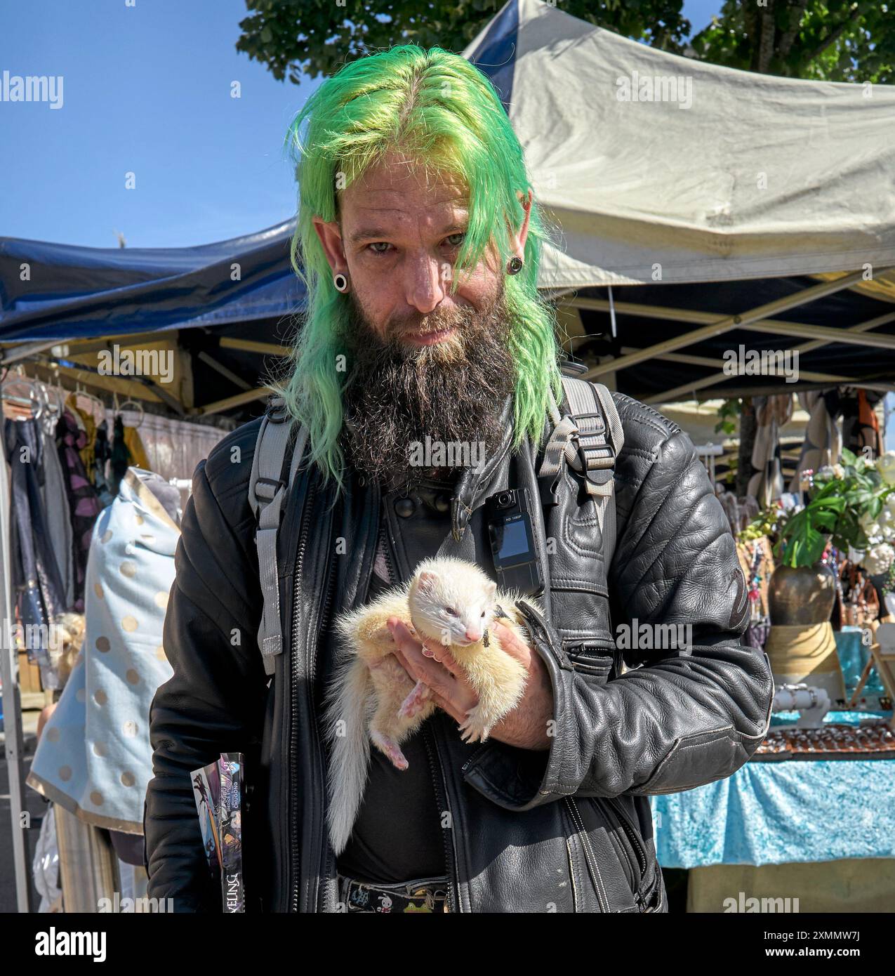 Frettchen UK, man and PET Frettchen (Mustela putorius furo) auf einem Straßenmarkt. England Stockfoto