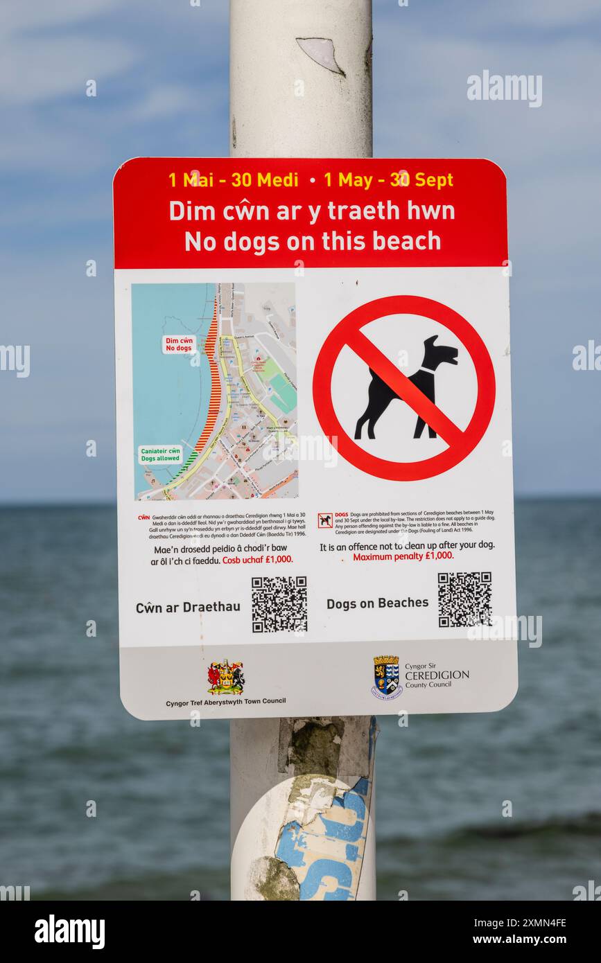 Schild „No Dogs on this Beach“ in Aberystwyth Seafront, West Wales, UK Stockfoto