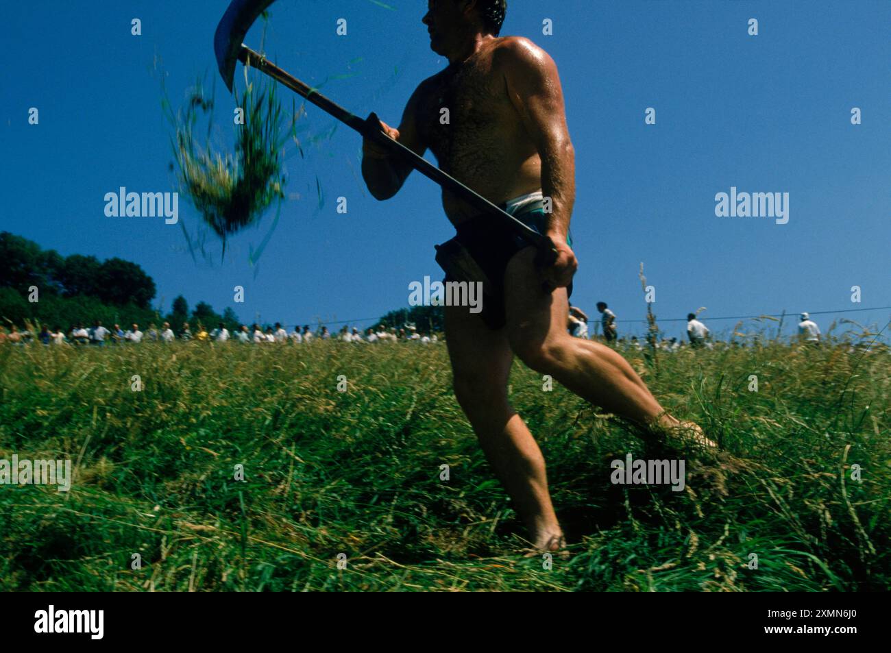 Grasschneidewettbewerb, Baskisch, Navarra, Spanien. Stockfoto