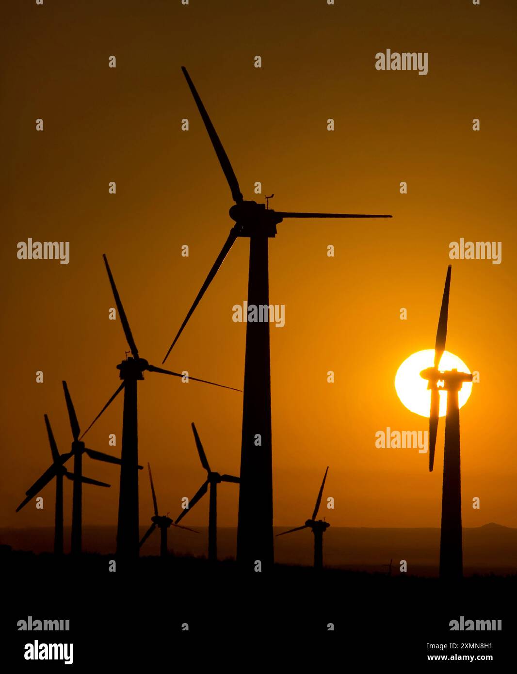 Windturbinen im Schatten der aufgehenden Sonne in Tehachapi, Kalifornien. Stockfoto