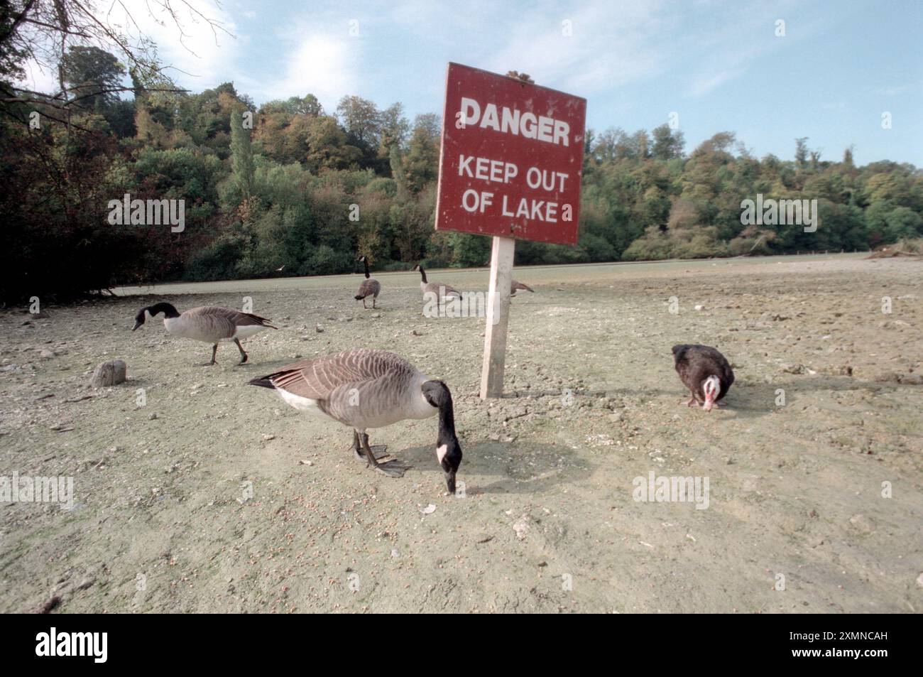 Swanbourne Lake , Arundel , West Sussex 9 Oktober 1996 Bild von Roger Bamber Stockfoto