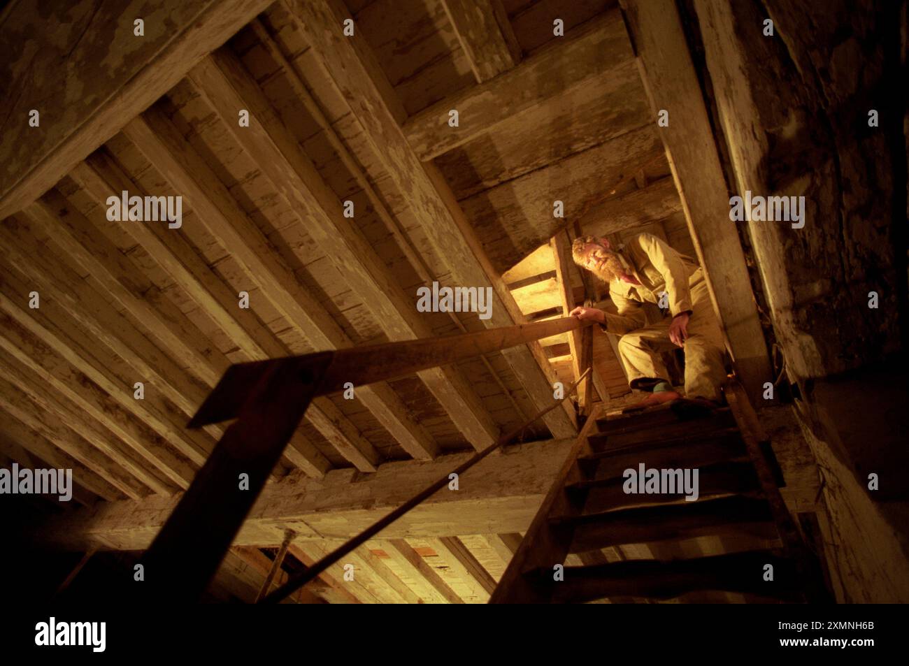 Ein Mitglied der Meon Valley Umweltstudie untersucht die Schiffsbalken eines amerikanischen Schiffes aus dem 18. Jahrhundert, das zur Herstellung einer Mühle in Hampshire verwendet wurde. Die Chesapeake Mill ist eine Wassermühle in Wickham, Hampshire, die 1820 aus den Holzhölzern der HMS Chesapeake gebaut wurde, die zuvor eine alte Fregatte der United States Navy, USS Chesapeake, bis die Briten sie 1813 eroberten. Die Mühle ist heute bei amerikanischen Touristen beliebt. 17. Dezember 1996 Bild von Roger Bamber Stockfoto