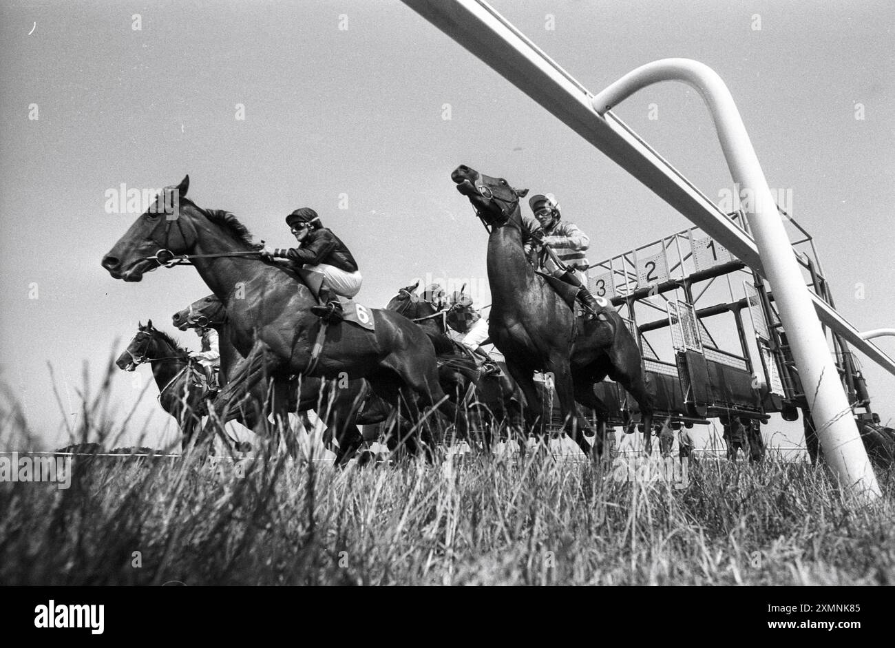 Brighton Races 3. Juli 1995 Foto von Roger Bamber Stockfoto