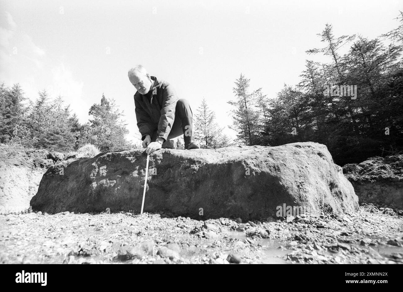 Der Forstbeamte Mike Casserley misst Stephen’s Stone, auch bekannt als The Hoarstone, im Ringwood Forest bei Verwood, Dorset. Es ist ein altes Sandsteinmenhir, ein neolithischer stehender Stein. Er wurde 1280 als Grenzstein für Cranborne Chase namens Hoarstone erwähnt und befindet sich in der Nähe einer Eisenzeit barrow. 1994 wurde es von Forstarbeitern nach vielen Jahren, die von Unterholz versteckt liegen, wiederentdeckt und ist heute ein antikes Denkmal. Es wird vermutet, dass es früher verwendet wurde, um den Himmel zu kartografieren. 11. April 1994 Bild von Roger Bamber Stockfoto