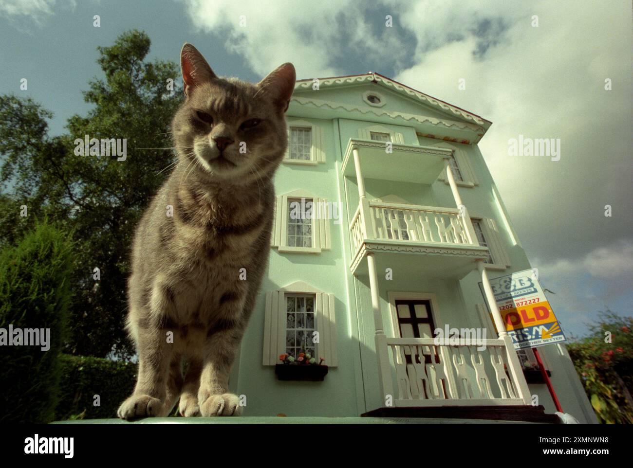 Katze, die neben dem Puppenhaus sitzt, mit einem Schild zum Verkauf. Ein koloniales Herrenhaus mit Puppen, das 1998 für £ 350 zum Verkauf angeboten wurde. Dieses historische Puppenhaus, nur 3 Meter hoch und das Eigentum der Familie, die auch Sylvester, die Katze auf dem Bild, besaß, wurde später an Wimbourne Model Village verkauft. 24. August 1998 Bild von Roger Bamber Stockfoto Katze, die neben dem Puppenhaus sitzt, mit einem Schild zum Verkauf. Ein koloniales Herrenhaus mit Puppen, das 1998 für £ 350 zum Verkauf angeboten wurde. Dieses historische Puppenhaus, nur 3 Meter hoch und das Eigentum der Familie, die auch Sylvester, die Katze auf dem Bild, besaß, wurde später an Wimbourne Model Village verkauft. 24. August 1998 Bild von Roger Bamber Stockfoto