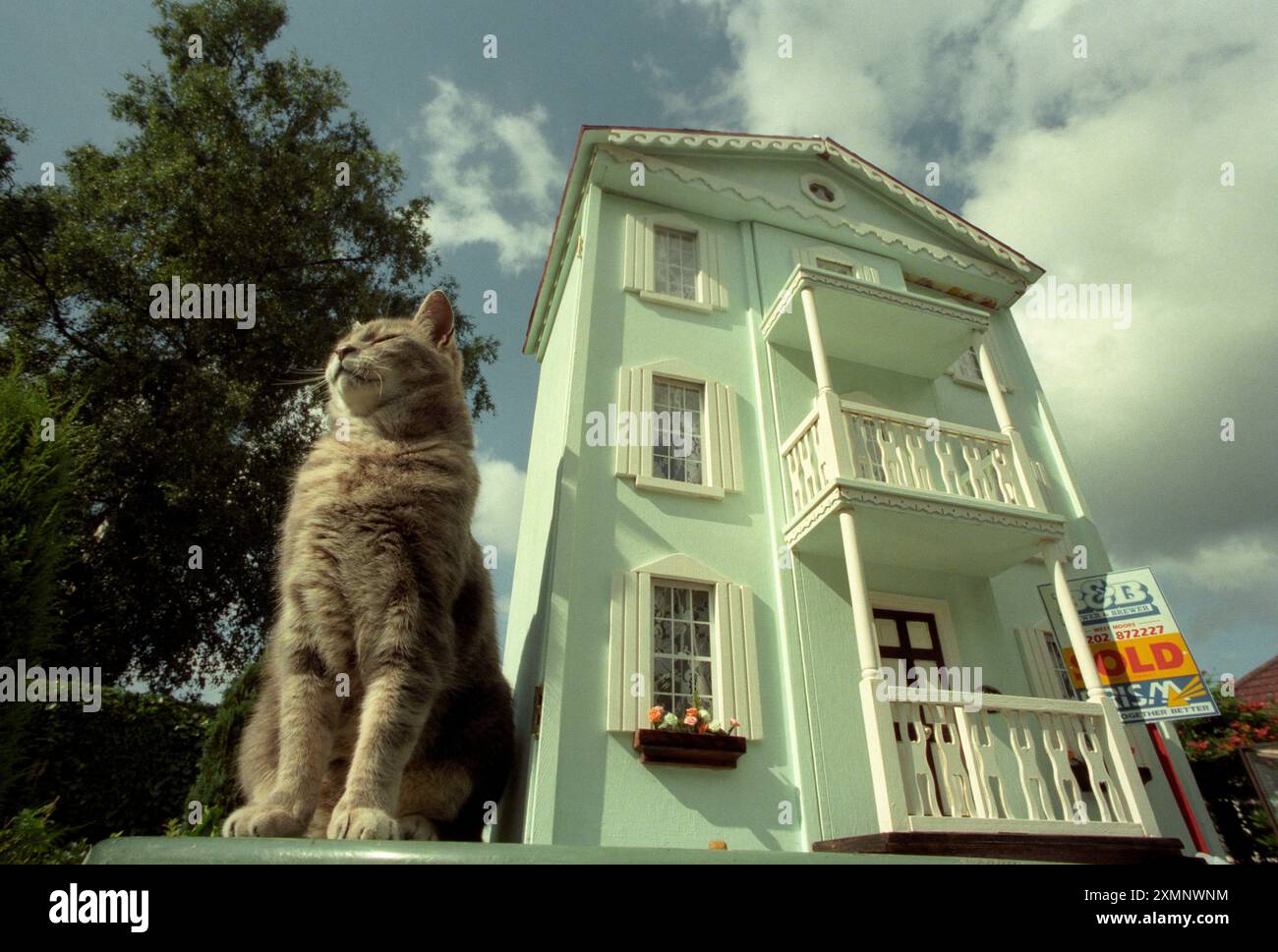 Katze, die neben dem Puppenhaus sitzt, mit einem Schild zum Verkauf. Ein koloniales Herrenhaus mit Puppen, das 1998 für £ 350 zum Verkauf angeboten wurde. Dieses historische Puppenhaus, nur 3 Meter hoch und das Eigentum der Familie, die auch Sylvester, die Katze auf dem Bild, besaß, wurde später an Wimbourne Model Village verkauft. 24. August 1998 Bild von Roger Bamber Stockfoto Katze, die neben dem Puppenhaus sitzt, mit einem Schild zum Verkauf. Ein koloniales Herrenhaus mit Puppen, das 1998 für £ 350 zum Verkauf angeboten wurde. Dieses historische Puppenhaus, nur 3 Meter hoch und das Eigentum der Familie, die auch Sylvester, die Katze auf dem Bild, besaß, wurde später an Wimbourne Model Village verkauft. 24. August 1998 Bild von Roger Bamber Stockfoto