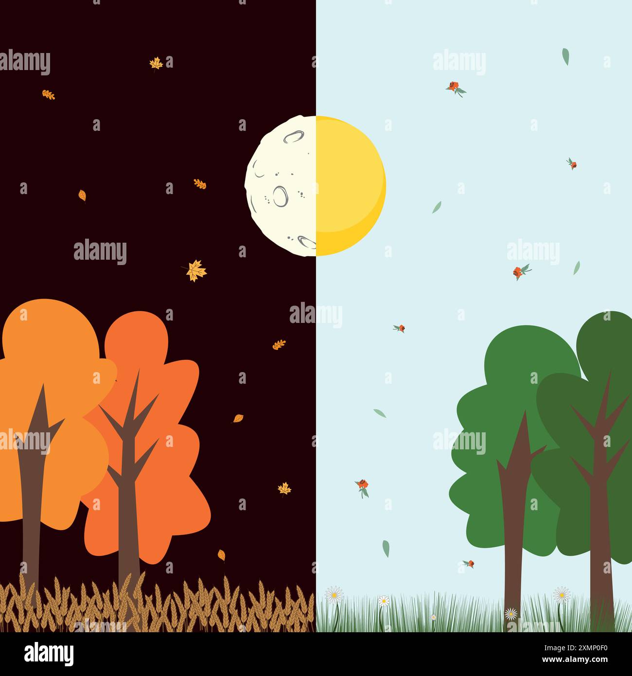 Visualisierung von Saisonänderungen. Baum mit Herbst- und Sommerblättern. Herbstliche Tagundnachtgleiche, Infografik für astronomisches Ereignis am 22. September 23. Vektor. Stock Vektor