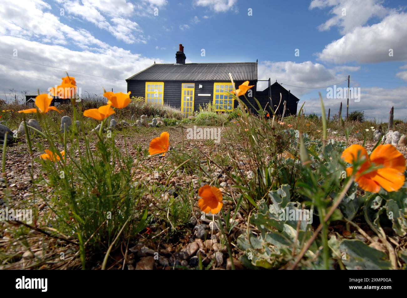 Bild von Roger Bamber: 1. September 2007: Prospect Cottage, das ehemalige Zuhause des verstorbenen Künstlers und Filmregisseurs Derek Jarman in Dungeness, auf Romnet Marsh, Kent. Das Haus und sein trockener Schindelgarten sind durch einige wilde Blumen fotografiert. Stockfoto