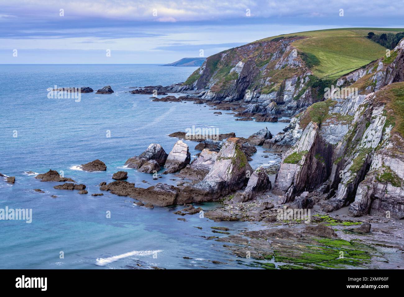 Die felsige Küste von Westcombe Beach in South Devon Großbritannien Stockfoto
