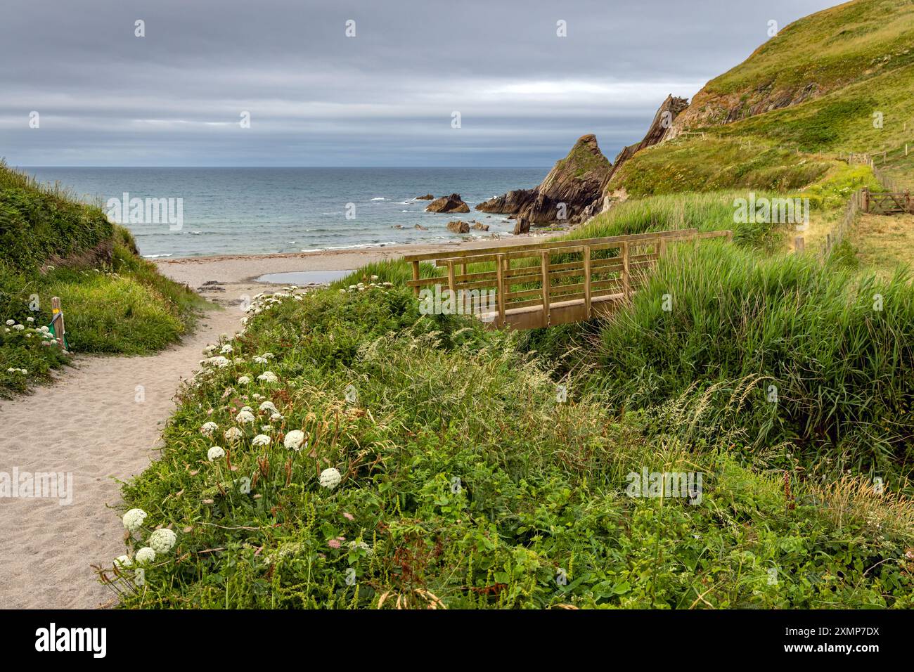 Holzbrücke am Westcombe Beach in South Devon, England, Großbritannien Stockfoto