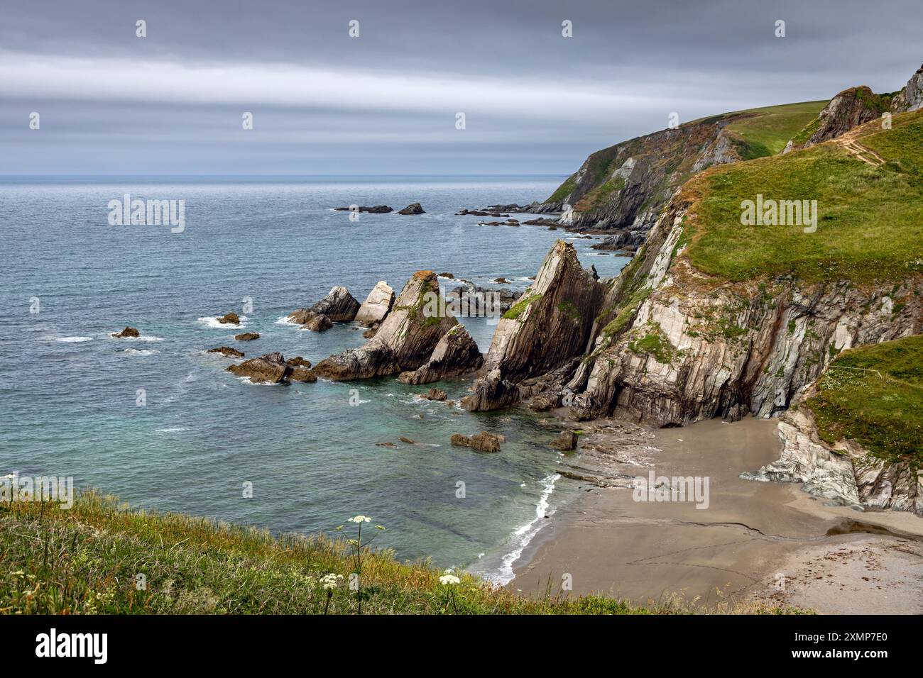 Die felsige Küste am Westcombe Beach in South Devon Großbritannien Stockfoto