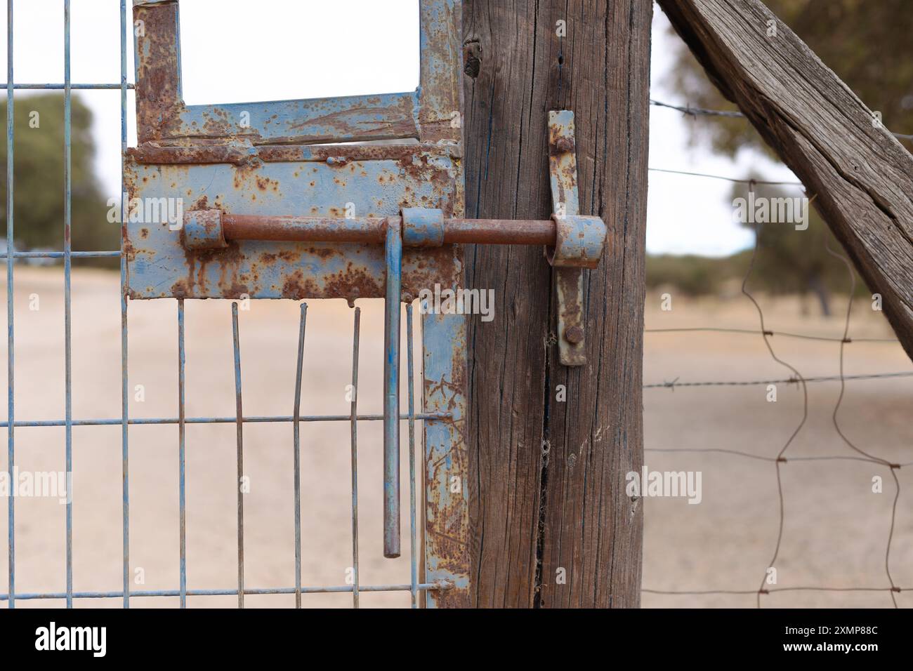 Detail eines alten, blauen und rostigen Bolzens, geschlossen vom Tor eines Zauns auf dem Land. Stockfoto