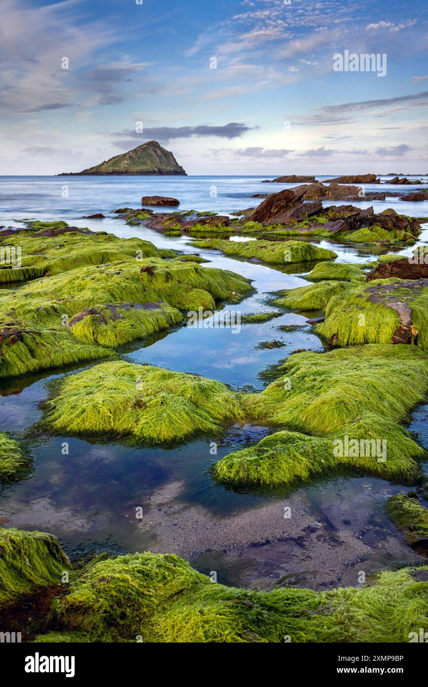 Wembury Bay mit Blick auf den Great Mewstone an der südlichen Küste von Devon, England. Stockfoto
