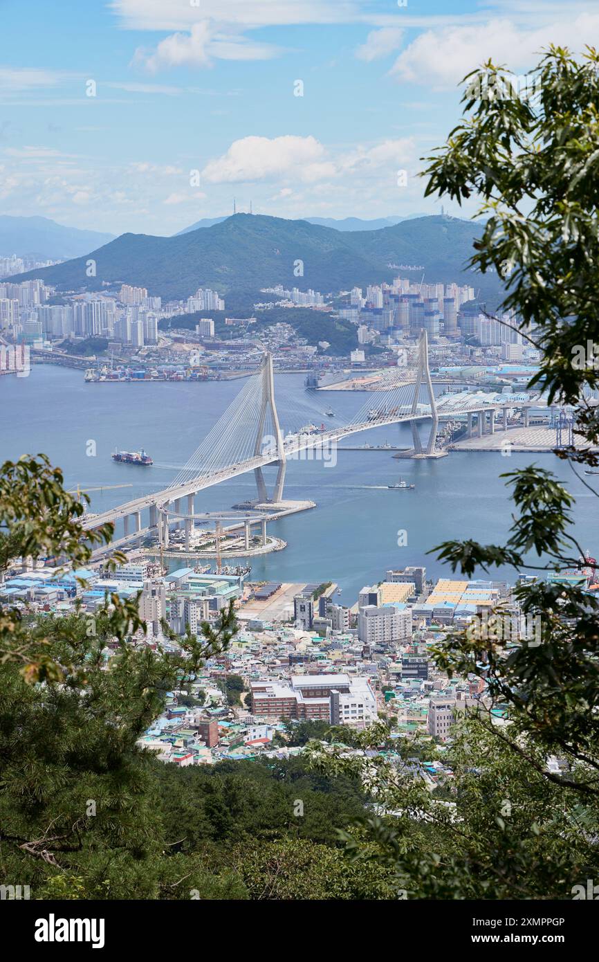 Wunderschöner Blick auf die Busan Harbor Bridge und den Hafen von Busan in Südkorea Stockfoto