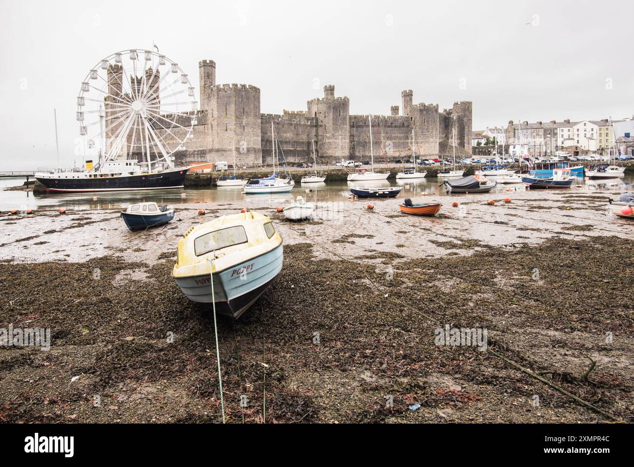 Caernarfon Castle Stockfoto