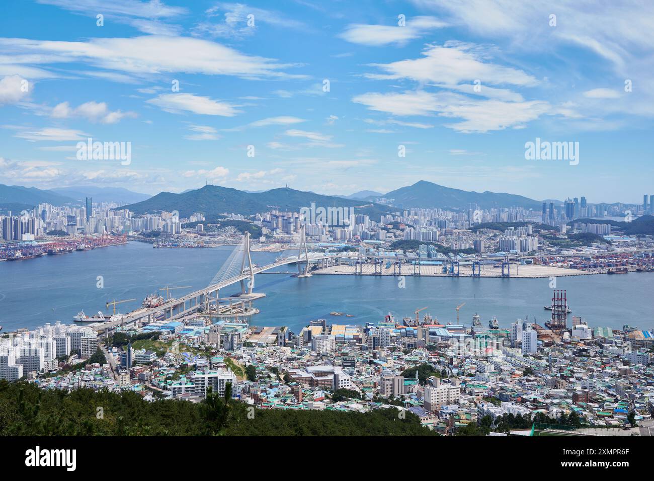 Wunderschöner Blick auf die Busan Harbor Bridge und den Hafen von Busan in Südkorea Stockfoto
