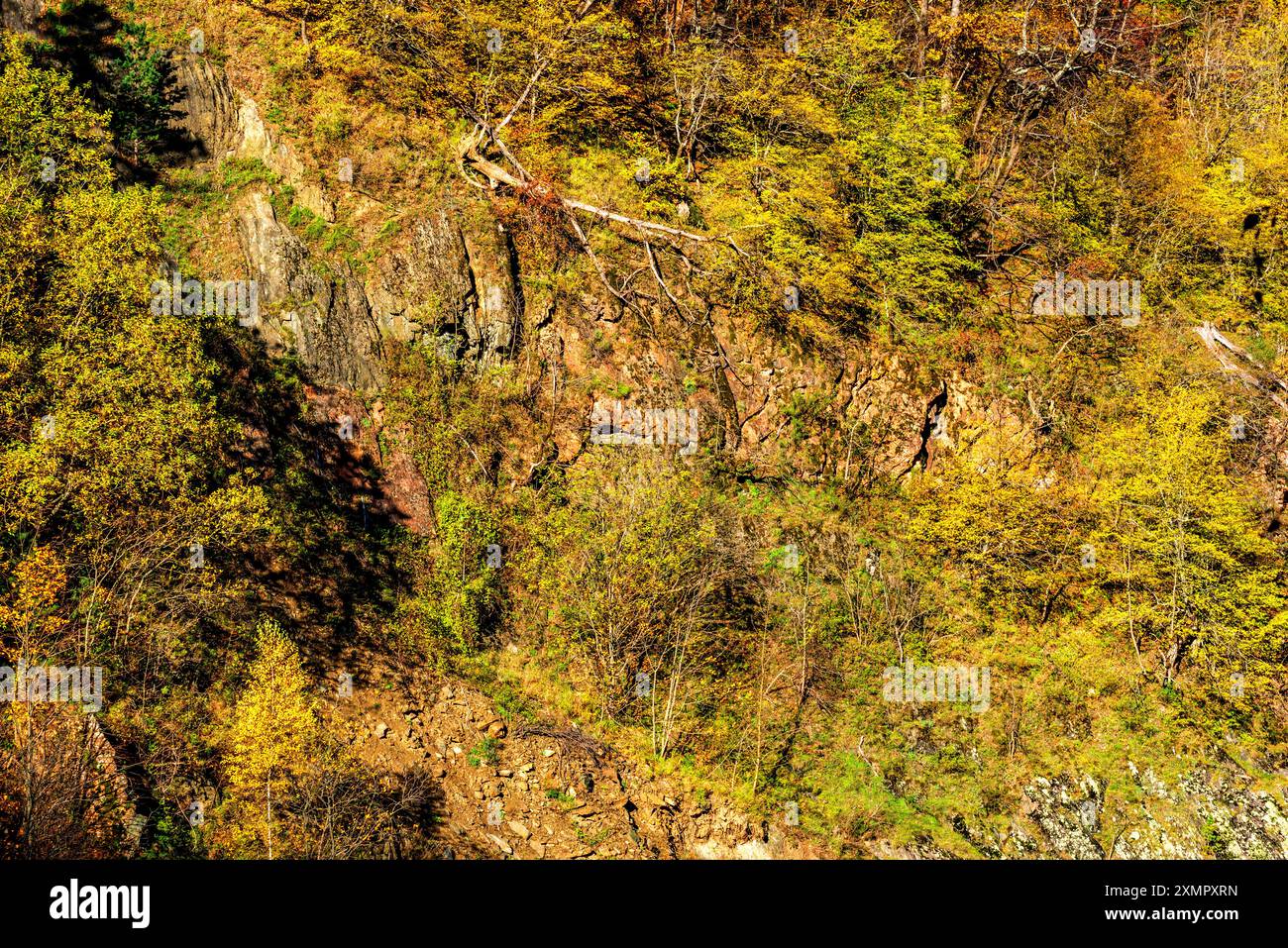 Blick von oben auf eine sehr tiefe Schlucht in den Kaukasus Bergen Stockfoto