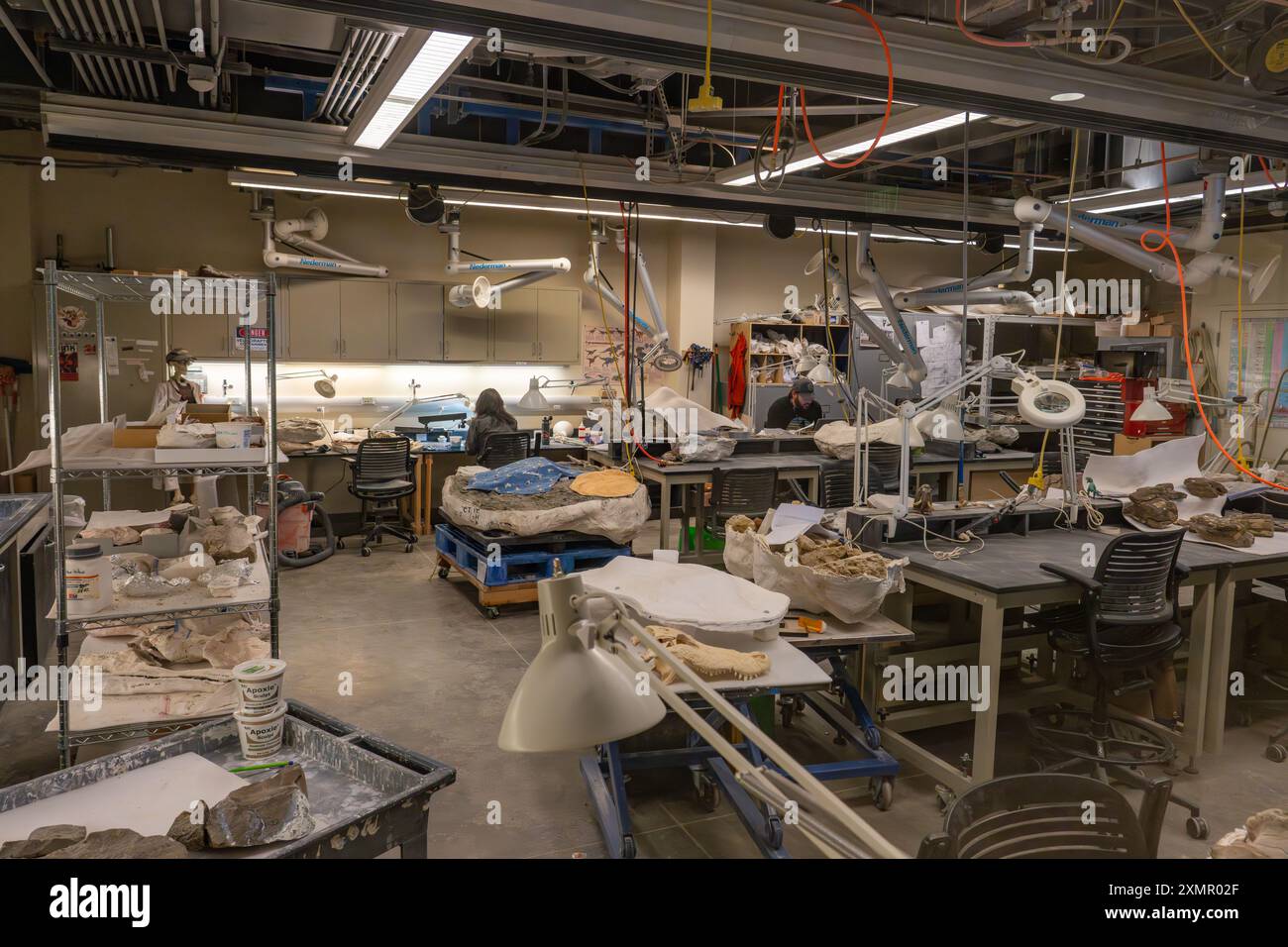 Paläontologie Preparation Lab im Natural History Museum of Utah, Salt Lake City, Utah. Stockfoto