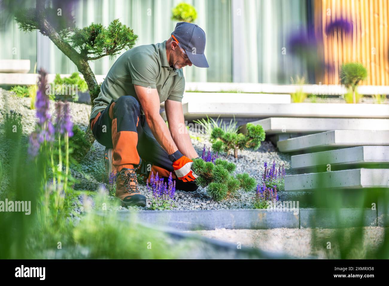 Ein Gärtner in Kappe und Handschuhen pflegt sorgfältig lebendige Pflanzen in einer modernen Gartenumgebung. Die gepflegte Landschaft ist mit einzigartigen Steinen versehen Stockfoto