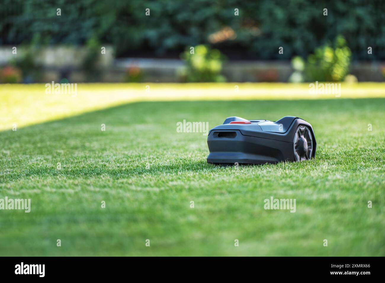 Ein Mähroboter navigiert an einem sonnigen Tag kontinuierlich auf einem üppigen, grünen Rasen. Die Maschine bewegt sich sanft über das Gras und trimmt es effizient auf m Stockfoto